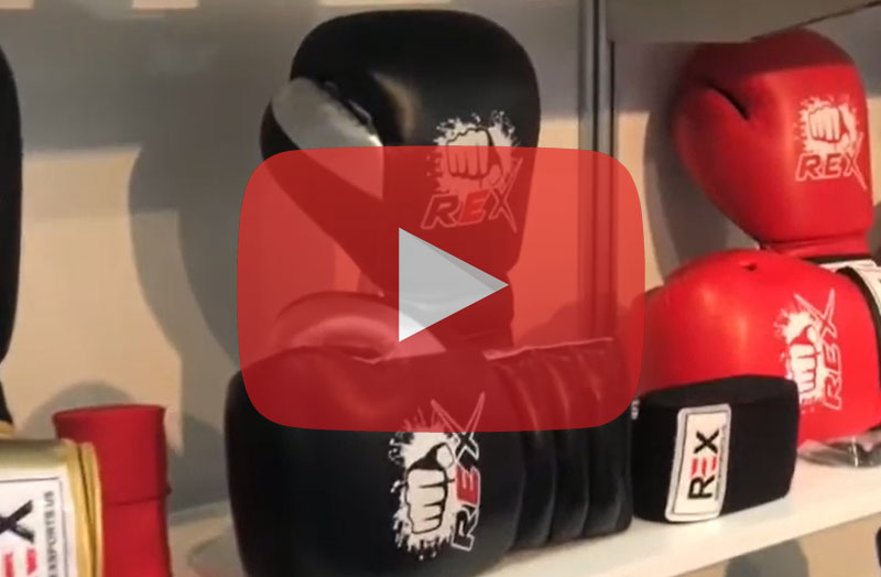 TOP 10 Best Boxing Gloves