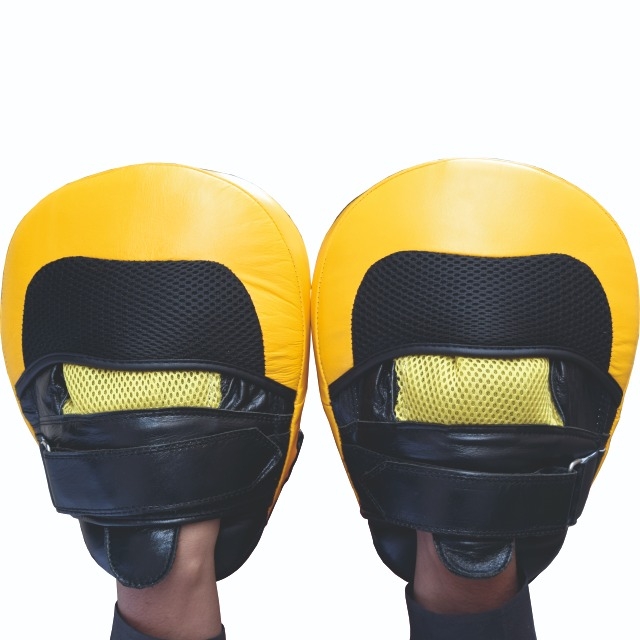 Curved MMA Training Gel Focus Pads