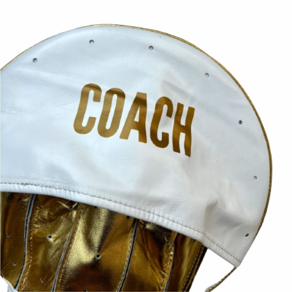 Coach Air Pads Focus Mitts 