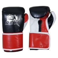 REX 2022 Best Price Leather Boxing Gloves